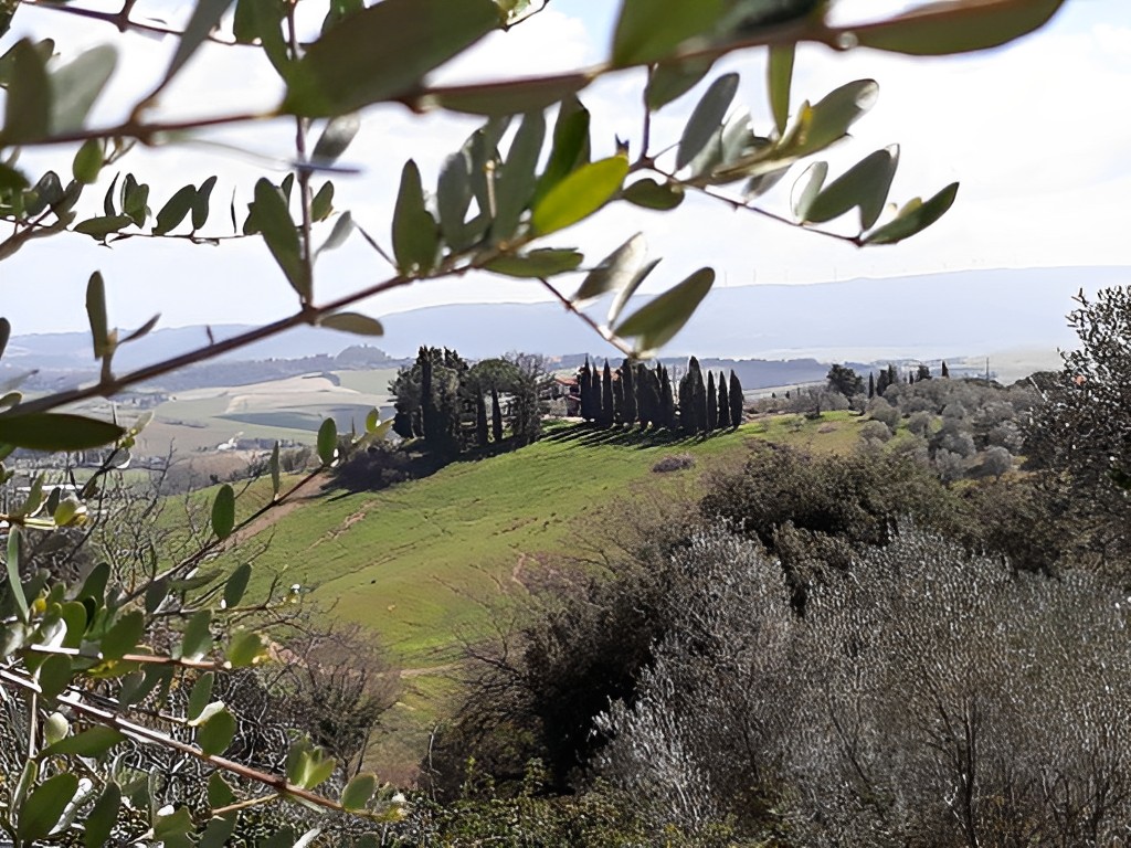 Foto della villa