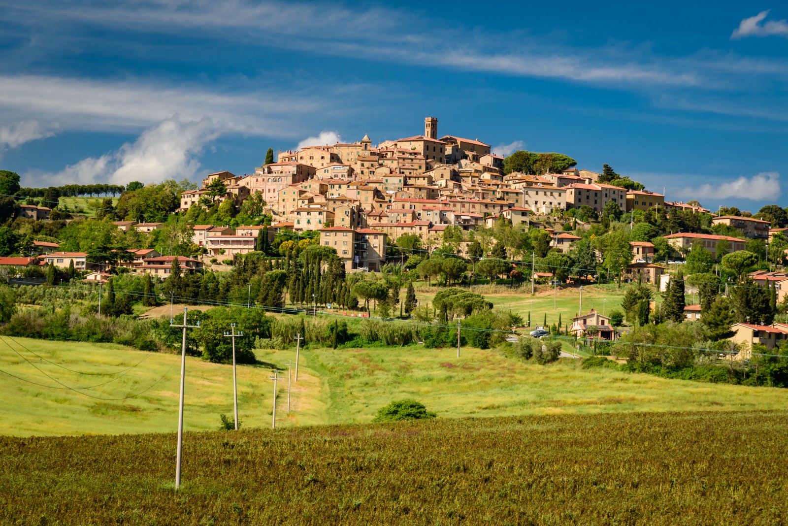 Bolgheri